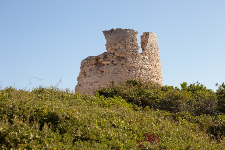 Torre da Lapa (1)