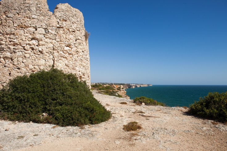 Torre da Lapa (3)