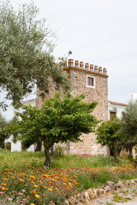Torre Quinta D. Francisco