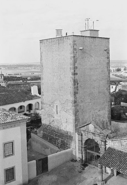 Torre Sertorio David Freitas 1950