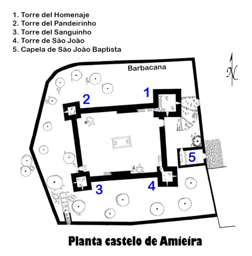 Amieira Planta
