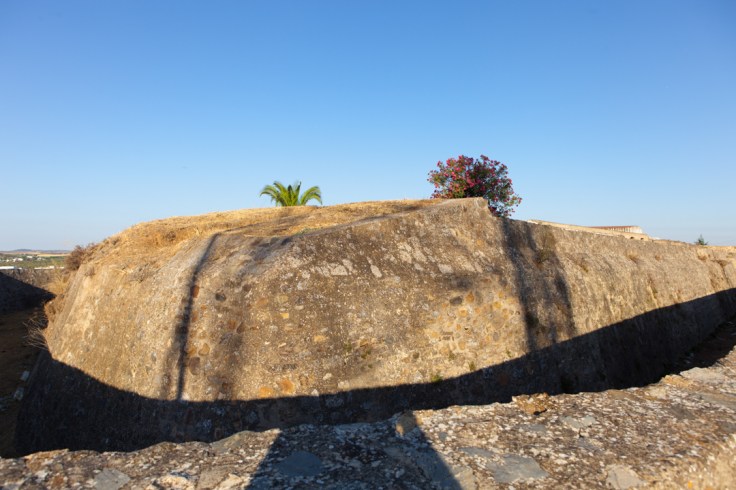 Frotin San Pedro-3-Editar