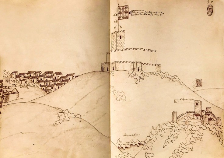 Salvaterra Duarte de Armas-1 (Copiar)