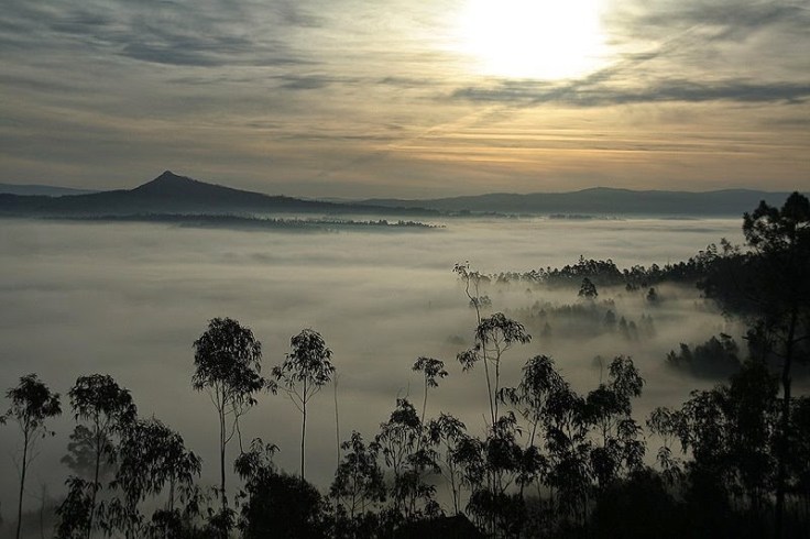 David Fernandez Abella