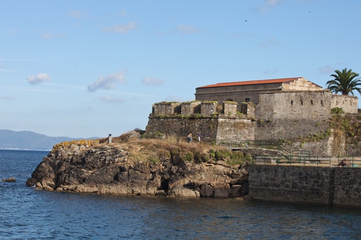 img_95de805d6c9ab4f08346bc7653ad5295df9484fd